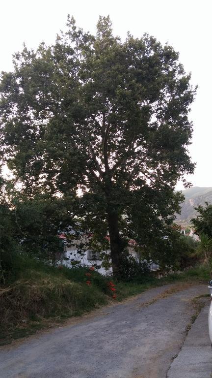 Studios Theodore Каламата Экстерьер фото